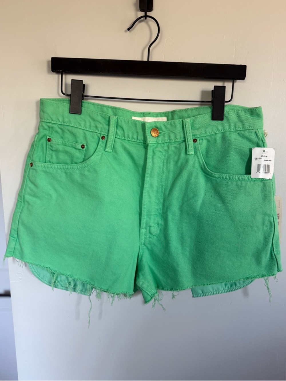 NWT RARE MOTHER Snacks The Fun Dip Micro Cut Shorts Size 31